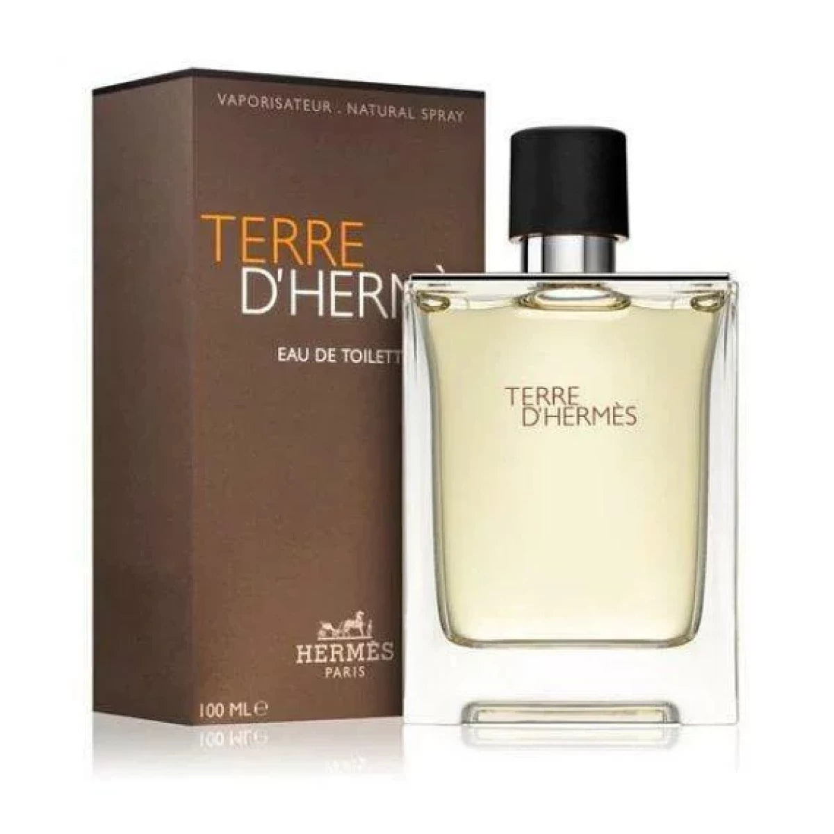TERRE D'HERMES EDT 200 ML FOR MEN